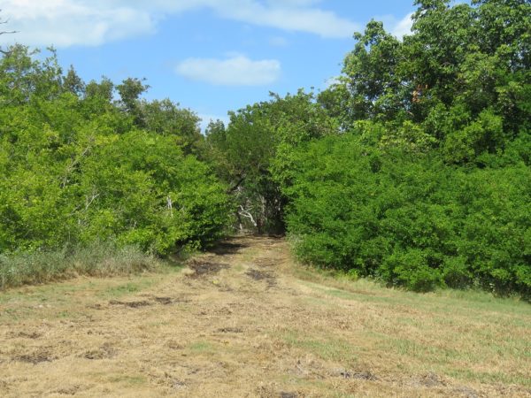 Adams Key In Biscayne National Park - Parkcation