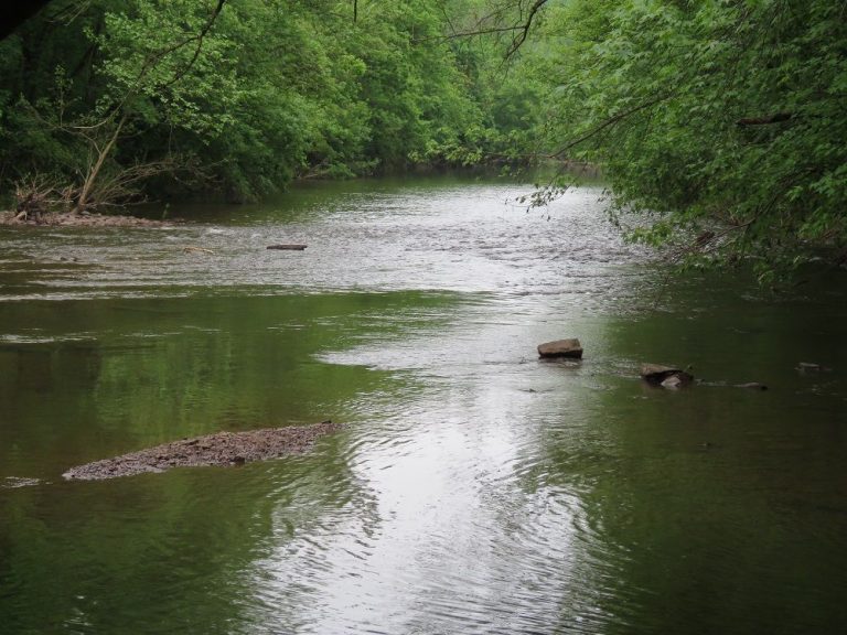 Memorial Day at Evansburg State Park - Parkcation