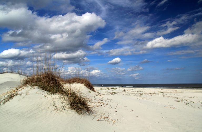 Cumberland Island National Seashore - Parkcation