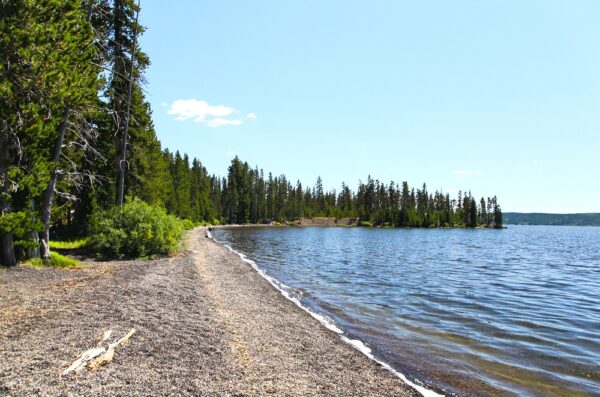 Lewis Lake and Lewis Falls in Yellowstone - Parkcation