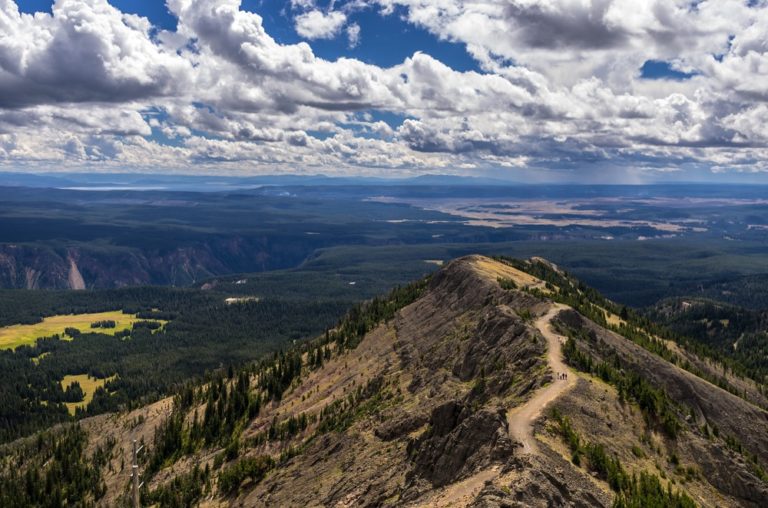 Mount Washburn in Yellowstone National Park - Parkcation