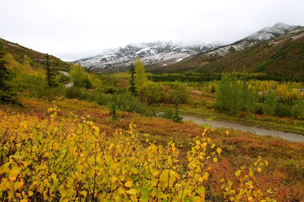 Kantishna Area and Lodging in Denali National Park - Parkcation